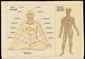 schéma de la montée d'énergie dans les yogas